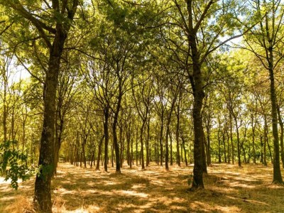 Apartment Wohnung inmitten von Weinbergen und blauem Himmel - Environment photo 27