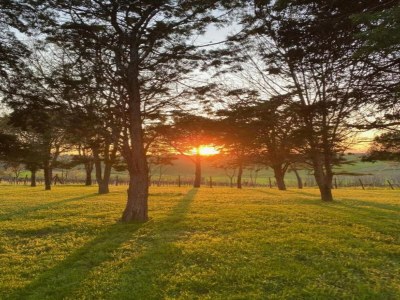 Apartment Wohnung inmitten von Weinbergen und blauem Himmel - Environment photo 28