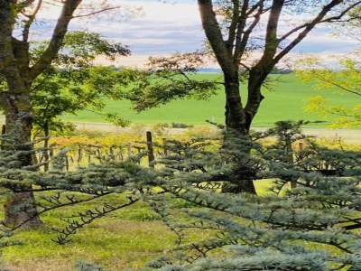 Apartment Wohnung inmitten von Weinbergen und blauem Himmel - Environment photo 31