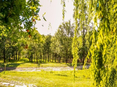 Apartment Wohnung inmitten von Weinbergen und blauem Himmel - Environment photo 35