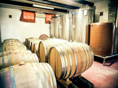 Apartment Wohnung inmitten von Weinbergen und blauem Himmel - Outdoor photo 39