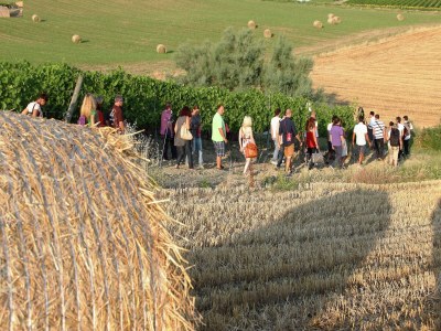 Apartment Apartment in Coriano near Vineyards & Beaches - Environment photo 19