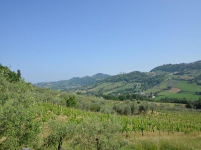 Apartment Apartment in Coriano near Vineyards & Beaches - Environment photo 29