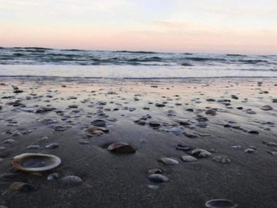 Apartment Apartment in Coriano near Vineyards & Beaches - Environment photo 32