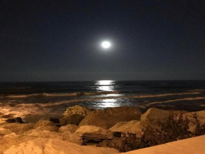 Holiday house Aufenthalt am Hang in Montecolombo - Environment photo 25