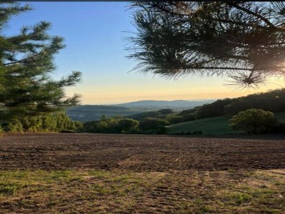 Holiday house Aufenthalt am Hang in Montecolombo - Environment photo 27