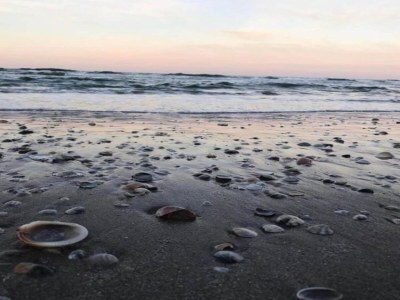 Holiday house Aufenthalt am Hang in Montecolombo - Environment photo 34