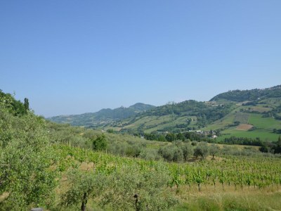 Holiday house Peaceful Stay in Monte Colombo - Outdoor photo 9