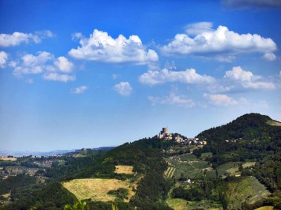 Holiday house Peaceful Stay in Monte Colombo - Environment photo 20