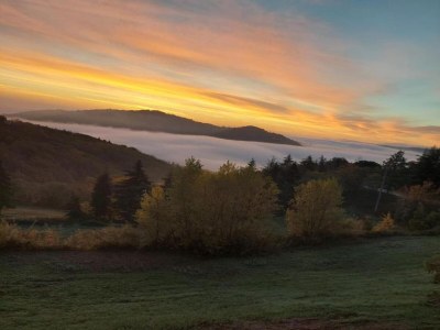 Holiday house Peaceful Stay in Monte Colombo - Environment photo 24