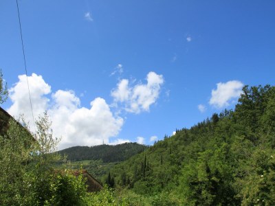 Holiday house Idyllic Tuscan Hideaway with Pool and spa - Outdoor photo 12