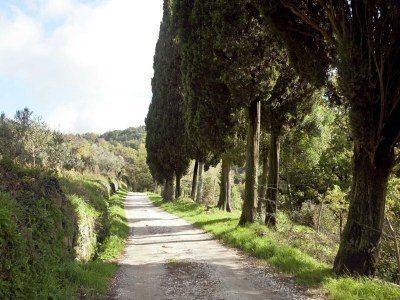 Holiday house Idyllic Tuscan Hideaway with Pool and spa - Environment photo 37