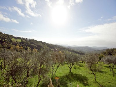 Holiday house Idyllic Tuscan Hideaway with Pool and spa - Environment photo 38