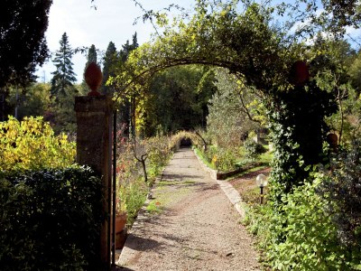 Apartment Chianti Romantic Retreat - Outdoor photo 3
