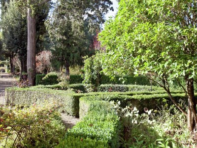 Apartment Chianti Romantic Retreat - Outdoor photo 5