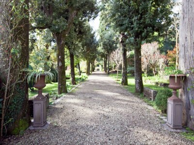 Apartment Chianti Romantic Retreat - Outdoor photo 15
