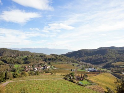 Apartment Chianti Romantic Retreat - Environment photo 28