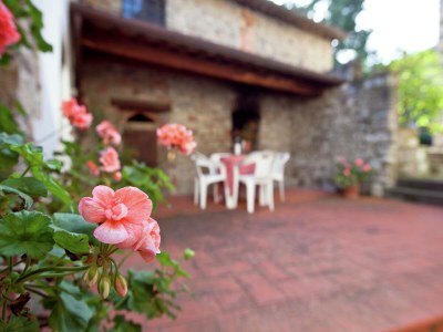 Apartment Chianti Romantic Retreat - Outdoor photo 32