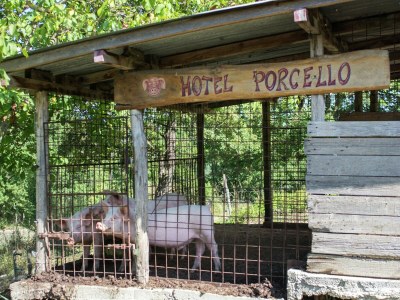 Holiday house Holiday Home in Vicchio with Private Pool - Outdoor photo 33