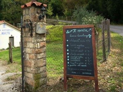 Holiday house Holiday Home in Vicchio with Private Pool - Outdoor photo 34