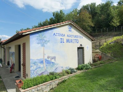 Holiday house Holiday Home in Vicchio with Private Pool - Outdoor photo 37