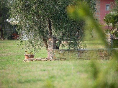 Holiday house Gemütliches Ferienhaus in Capraia e Limite mit Swimminpool - Outdoor photo 19
