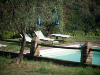 Holiday house Gemütliches Ferienhaus in Capraia e Limite mit Swimminpool - Outdoor photo 23