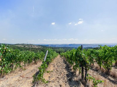 Holiday house Gemütliches Ferienhaus in Capraia e Limite mit Swimminpool - Environment photo 38