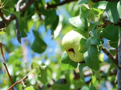 Holiday house Belvilla by OYO Volpe - Outdoor photo 14