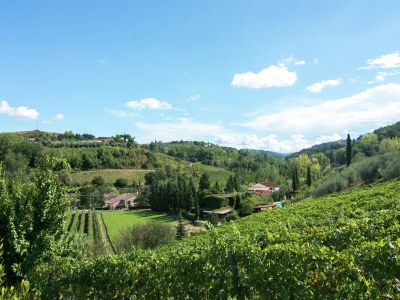 Holiday house Historisches Ferienhaus in Montaione - Environment photo 16