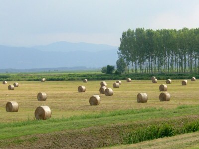Holiday house Sonnendurchflutetes Haus mit Pool - Environment photo 35