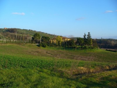 Farmhouse Farmhouse in Vinci near Leonardo Museum - Environment photo 32
