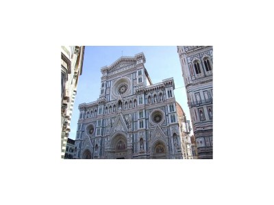 Farmhouse Farmhouse in Vinci near Leonardo Museum - Environment photo 36