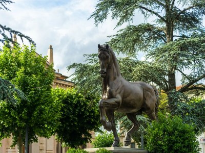 Holiday house Ferienhaus in Vinci mit Pool und Toskana-Blick - Environment photo 24