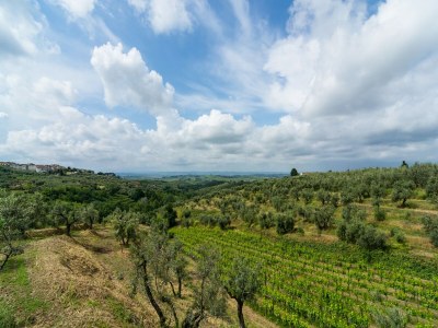 Holiday house Ferienhaus in Vinci mit Pool und Toskana-Blick - Environment photo 25
