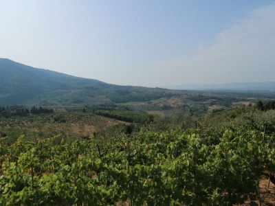 Holiday house Agriturismo Poggio di Montepescoli - L'Aia - Environment photo 40