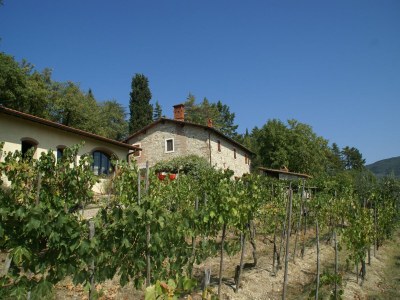 Holiday house Agriturismo Poggio di Montepescoli - L'Aia - Outdoor photo 43