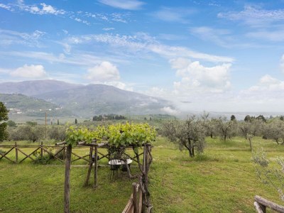 Holiday house Agriturismo Poggio di Montepescoli - Il Ciliegio - Outdoor photo 6