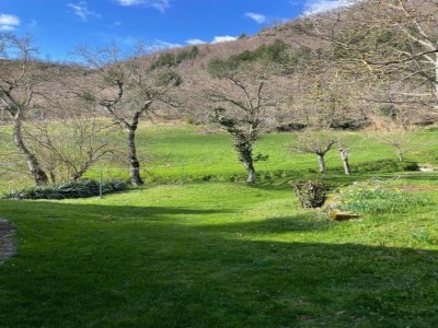 Holiday house Agriturismo Poggio di Montepescoli - Il Ciliegio - Environment photo 24