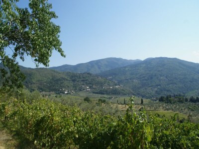 Holiday house Agriturismo Poggio di Montepescoli - Il Ciliegio - Environment photo 26