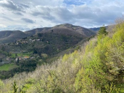 Holiday house Agriturismo Poggio di Montepescoli - Il Ciliegio - Environment photo 28