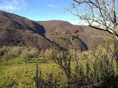 Holiday house Agriturismo Poggio di Montepescoli - Il Ciliegio - Environment photo 32