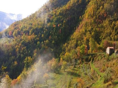 Holiday house Agriturismo Poggio di Montepescoli - Il Ciliegio - Environment photo 34