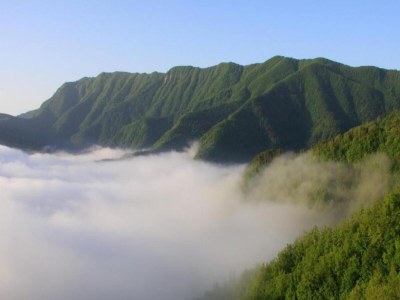 Holiday house Charming Tuscan Stay with Pool - Environment photo 34