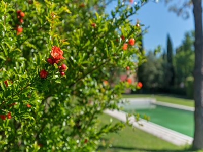 Holiday house Aufenthalt im Garten und Weinland - Outdoor photo 40