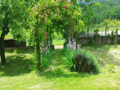 Villa Villa in Florenz mit privatem Pool - Outdoor photo 6