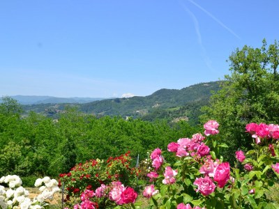 Holiday house Ferienhaus in der Toskana mit Pool & Olivenhain - Environment photo 15
