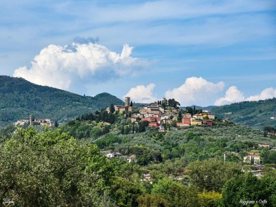 Holiday house Ferienhaus in der Toskana mit Pool & Olivenhain - Environment photo 16