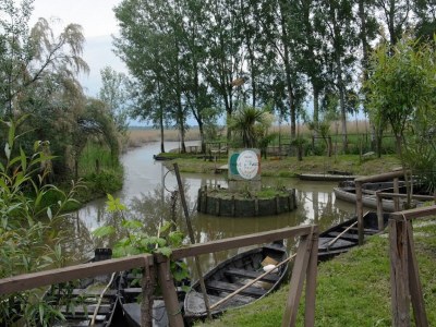 Holiday house Ferienhaus in der Toskana mit Pool & Olivenhain - Environment photo 19