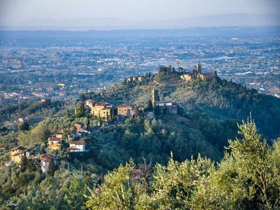 Holiday house Ferienhaus in der Toskana mit Pool & Olivenhain - Environment photo 21